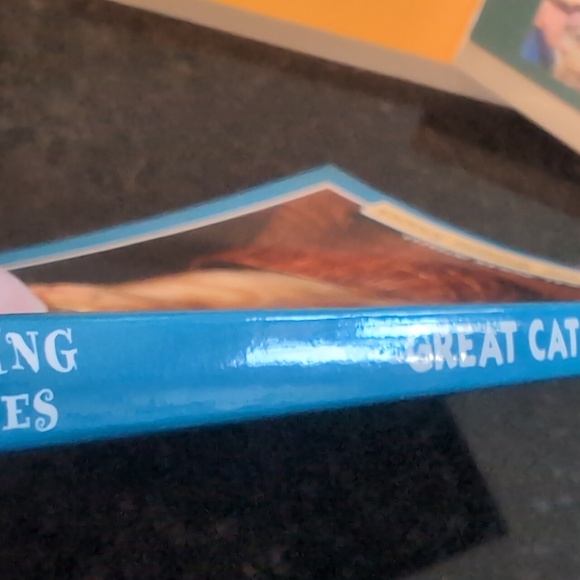 AMAZING STORIES / Animals Tales 3 book bundle - Picture 7 of 12